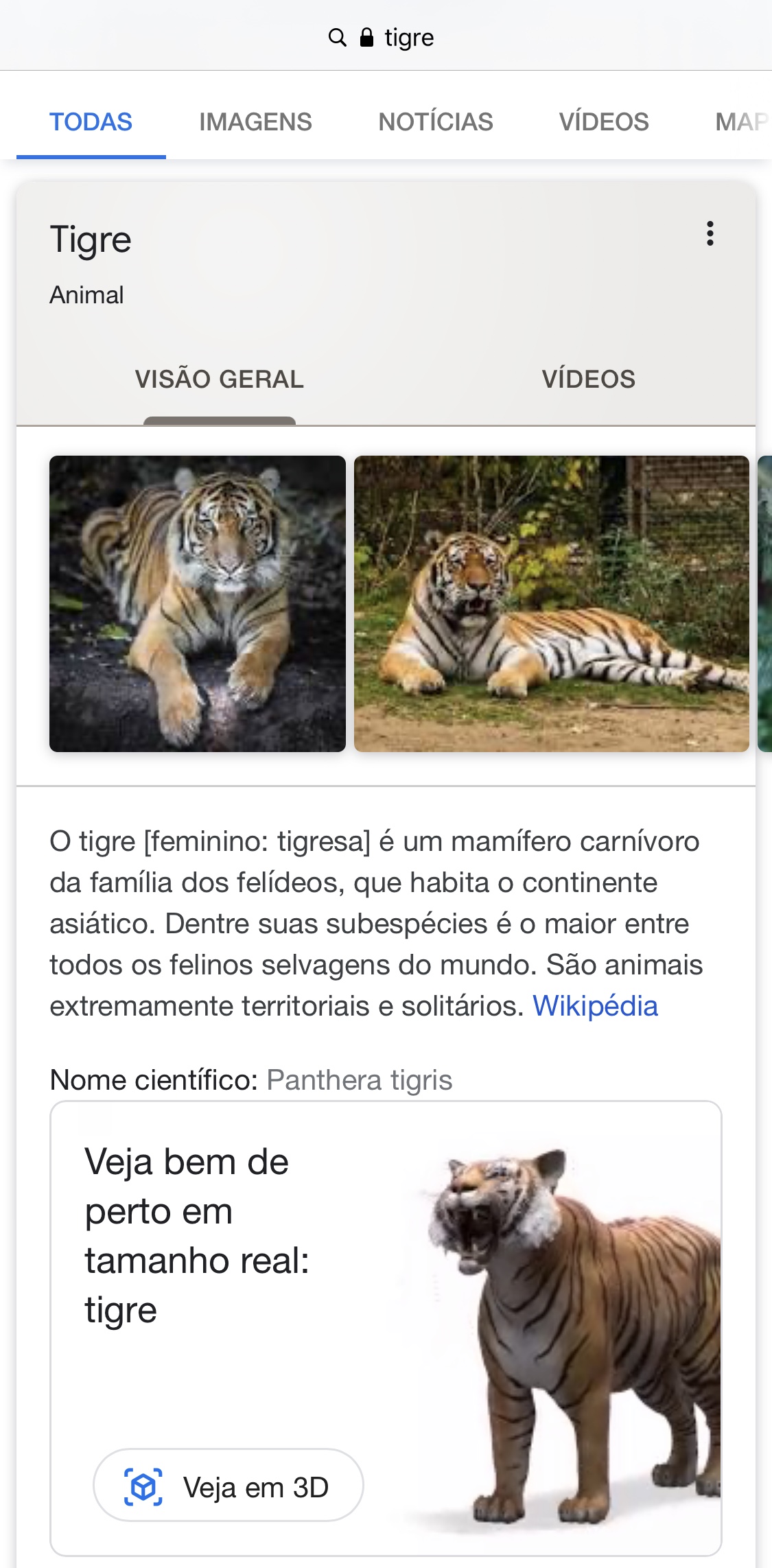 Como ver animais em 3D na busca do Google - Giz Brasil